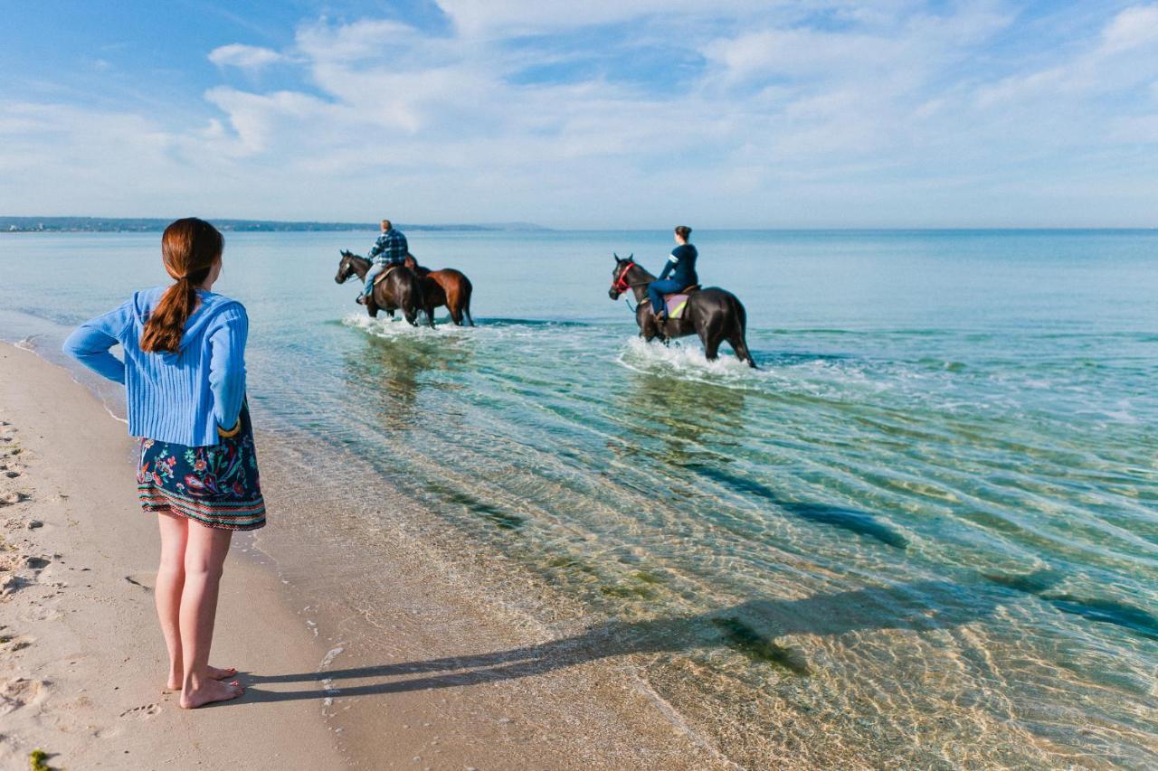Sailaway Beach House Melbourne Esterno foto